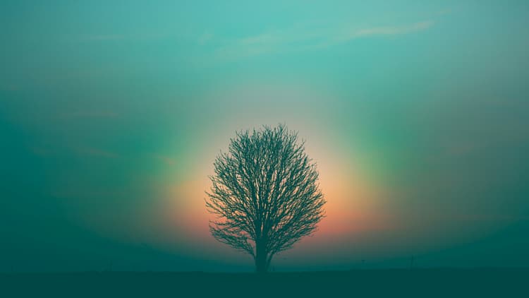 Imagem relacionada ao caderno Espiritualidade Eco-Relacional